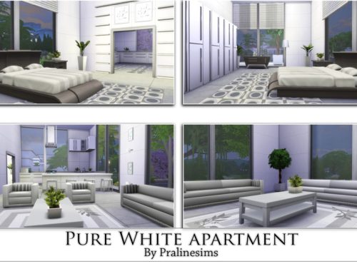 Pure White Apartment