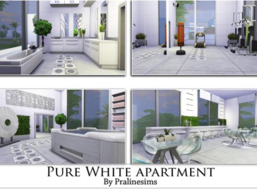 Pure White Apartment