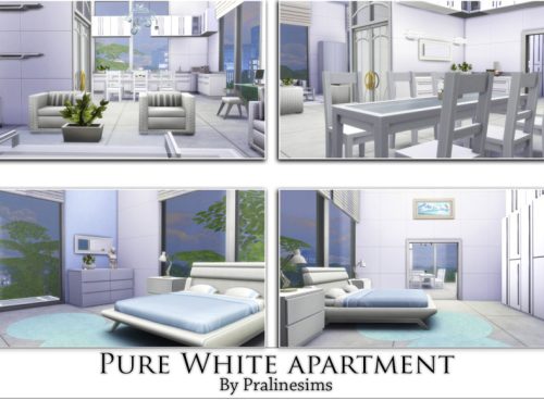 Pure White Apartment