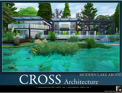 Modern Lake Abode