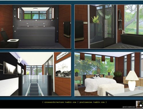 Modern Lake Abode