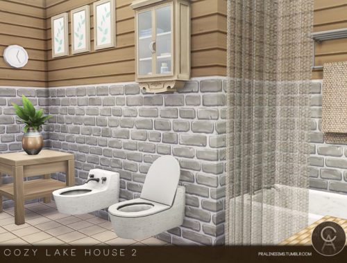 Cozy Lake House 2