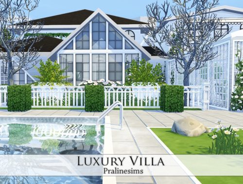 Luxury Villa