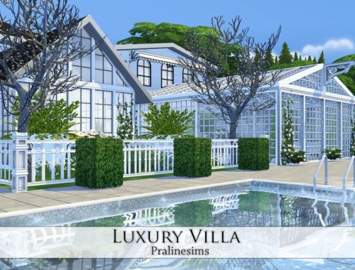 Luxury Villa