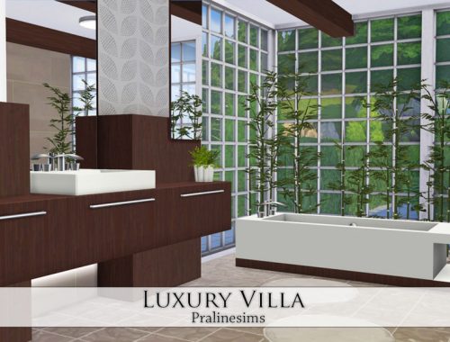 Luxury Villa