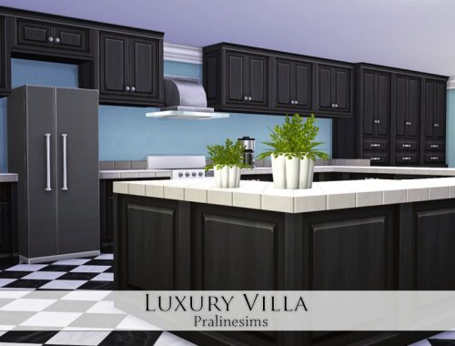Luxury Villa