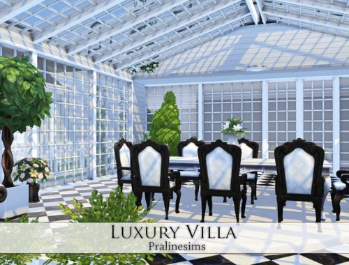 Luxury Villa