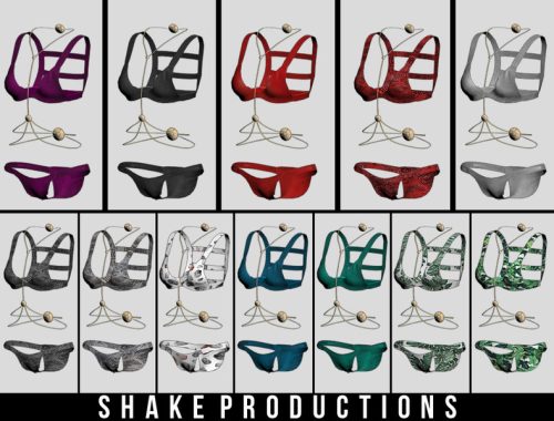 ShakeProductions 30-SET- 3D Mesh