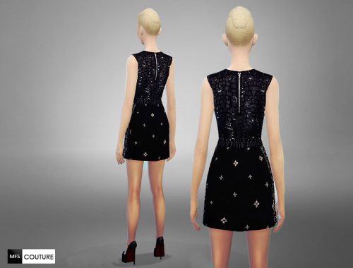 Black Swan Dress