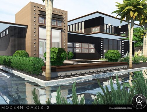 Modern Oasis 2