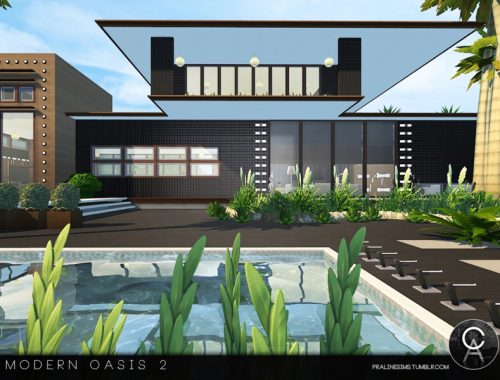 Modern Oasis 2
