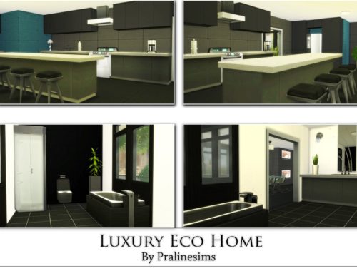 Luxury Eco Home