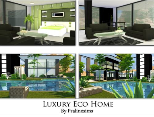 Luxury Eco Home