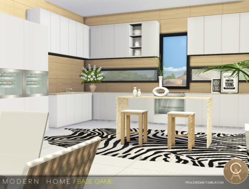 Modern Home