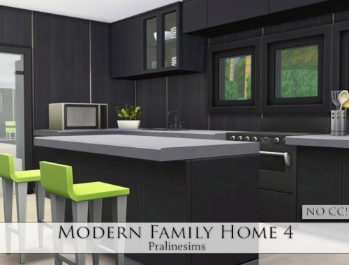 Modern Family Home 4