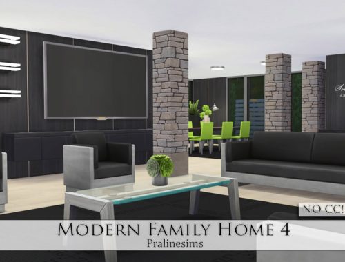 Modern Family Home 4