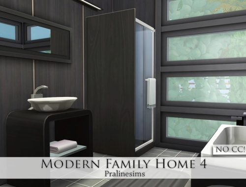 Modern Family Home 4
