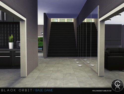 Black Orbit
