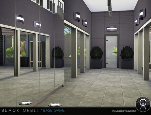 Black Orbit