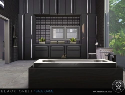 Black Orbit