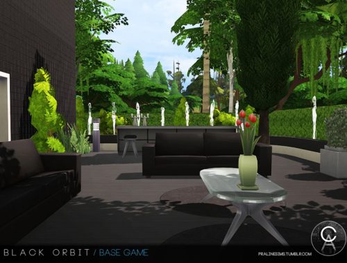 Black Orbit