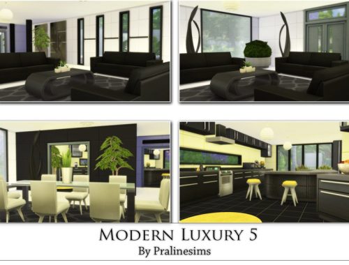Modern Luxury 5
