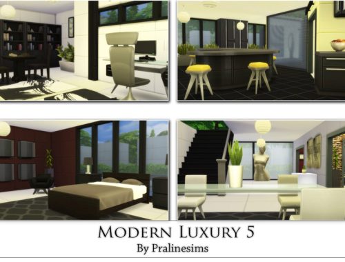 Modern Luxury 5