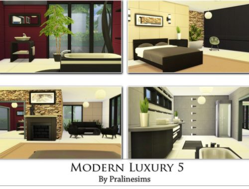 Modern Luxury 5