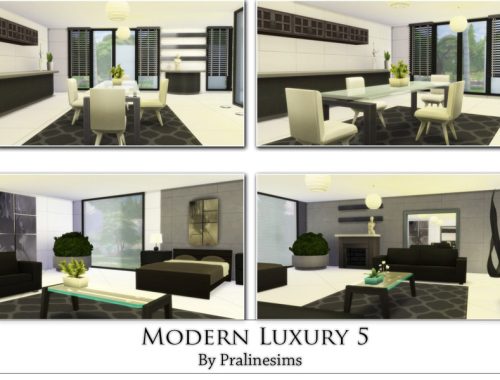 Modern Luxury 5