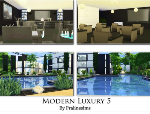 Modern Luxury 5
