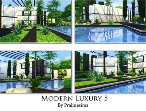 Modern Luxury 5