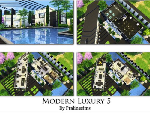 Modern Luxury 5