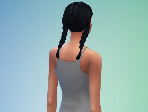 Adult PigtailBraids - Back