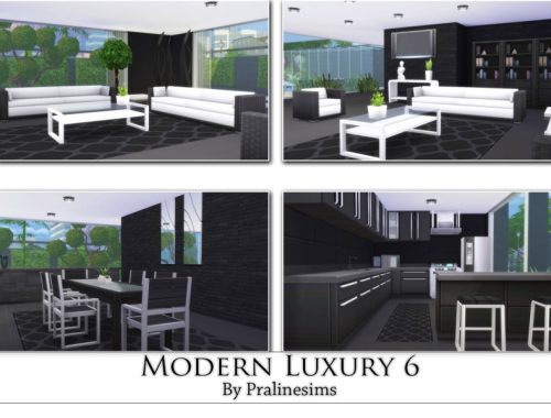 Modern Luxury 6