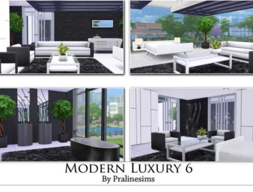 Modern Luxury 6