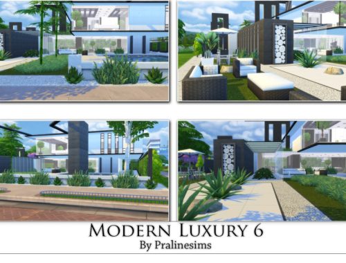 Modern Luxury 6
