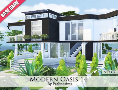Modern Oasis 14