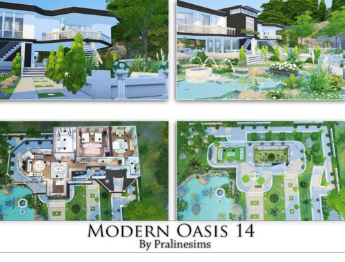 Modern Oasis 14