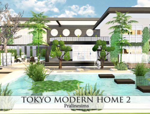 Tokyo Modern Home 2