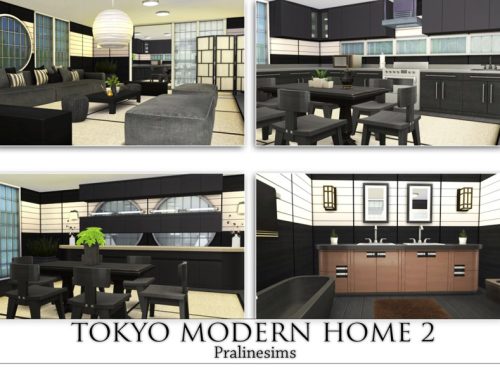 Tokyo Modern Home 2
