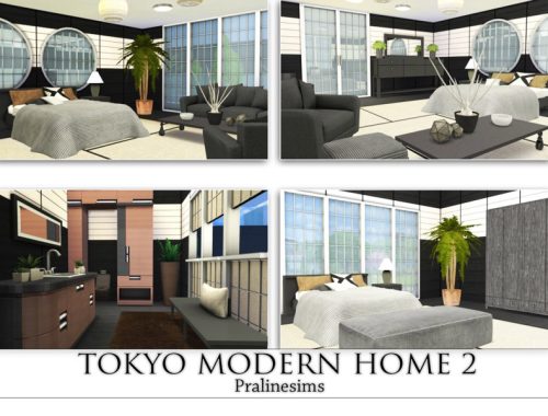 Tokyo Modern Home 2