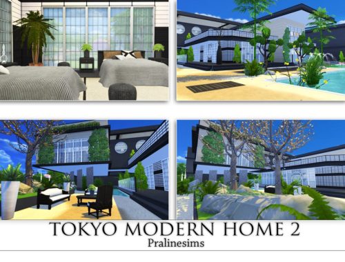 Tokyo Modern Home 2