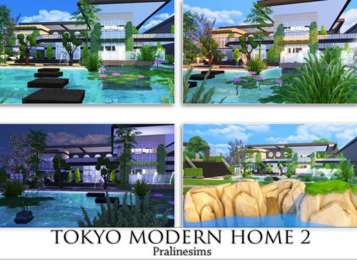 Tokyo Modern Home 2