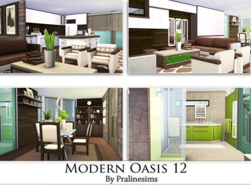 Modern Oasis 12