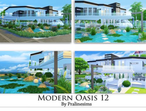 Modern Oasis 12