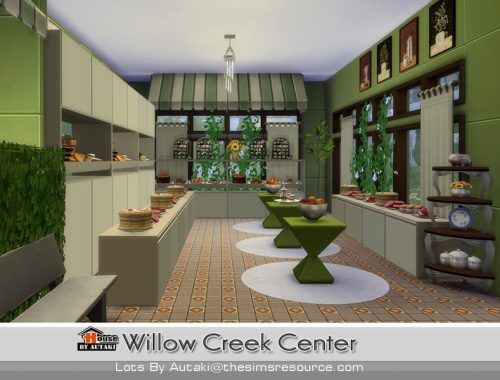 Willow Creek Center
