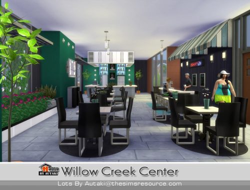 Willow Creek Center