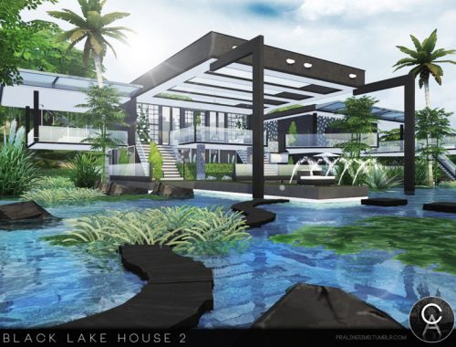 Black Lake House 2