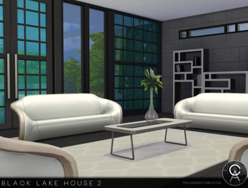 Black Lake House 2