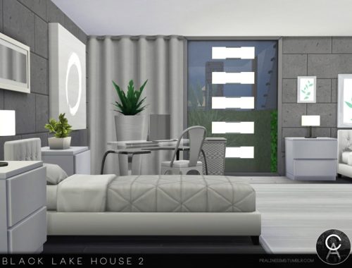 Black Lake House 2